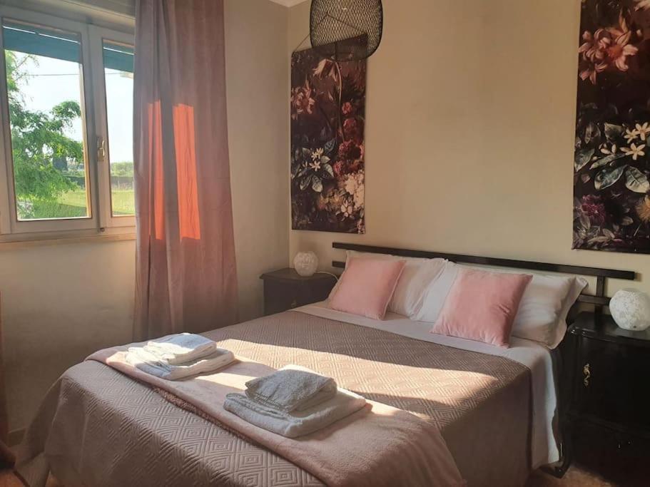 Molo - Residenza Con Accesso Diretto Al Lago Lazise Exterior photo