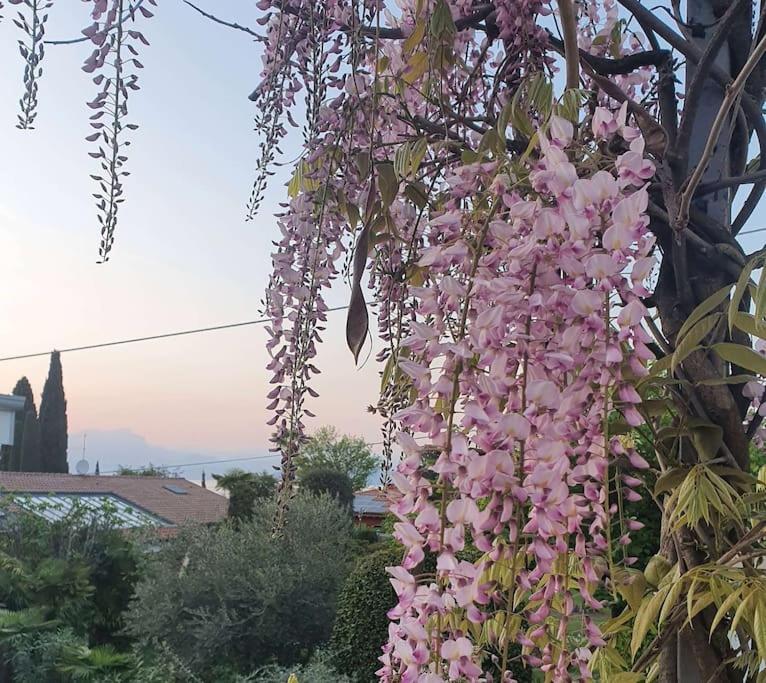 Molo - Residenza Con Accesso Diretto Al Lago Lazise Exterior photo